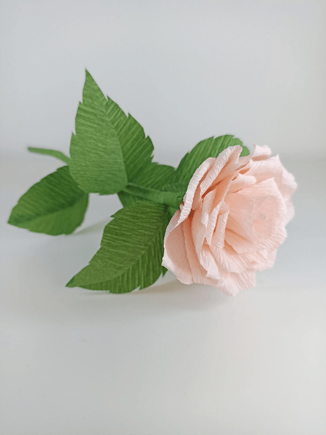 Rose éternelle - rose pâle